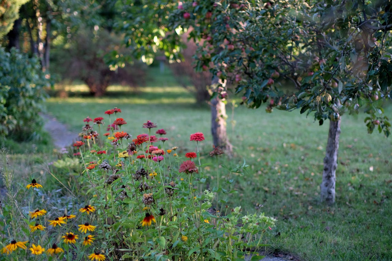 tuin bloemen bomen planten